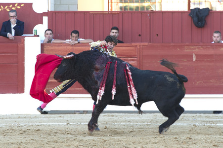 Stierkampf in Torrejón de Ardoz