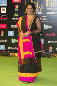 17. International Indian Film Academy Award in Madrid
