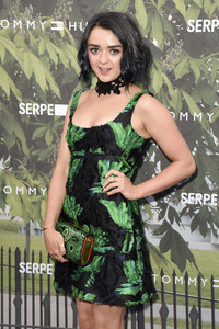 Serpentine Gallery Summer Party 2016 in London