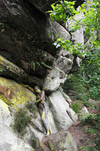 NATURE ART: Felsen / Rock Bodypainting
