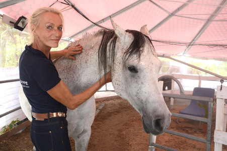 Im Horseairium in Gilten