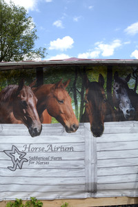 Im Horseairium in Gilten
