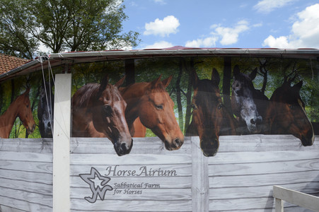 Im Horseairium in Gilten