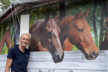 Im Horseairium in Gilten