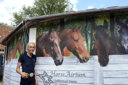 Im Horseairium in Gilten