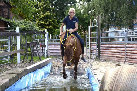 Im Horseairium in Gilten