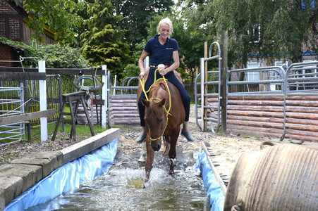 Im Horseairium in Gilten