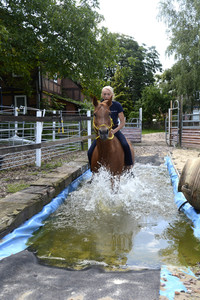 Im Horseairium in Gilten