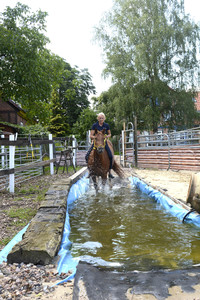 Im Horseairium in Gilten