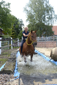 Im Horseairium in Gilten