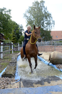Im Horseairium in Gilten
