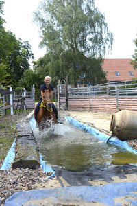 Im Horseairium in Gilten