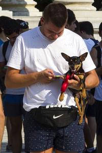 Pokemon Go-Spieler Treffen in Madrid