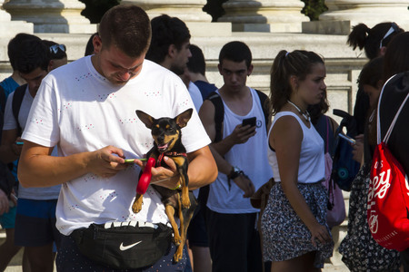 Pokemon Go-Spieler Treffen in Madrid
