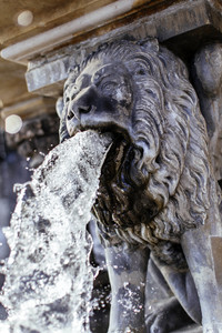 Wasserspeier am Petrusbrunnen in Köln