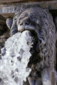 Wasserspeier am Petrusbrunnen in Köln