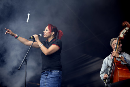 Ruhrpott Rodeo Festival 2016 in Hünxe