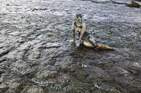 NATURE ART: Wehr / Weir Bodypainting