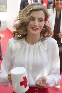 Red Cross Fundraising Day in Madrid