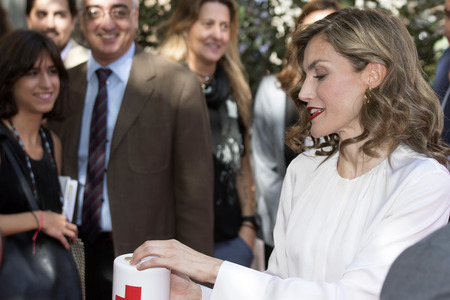 Red Cross Fundraising Day in Madrid