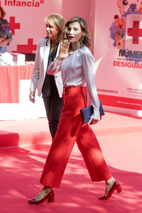 Red Cross Fundraising Day in Madrid