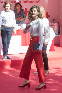 Red Cross Fundraising Day in Madrid