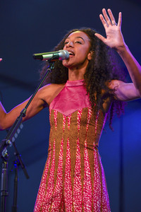 Austin City Limits Music Festival 2016
