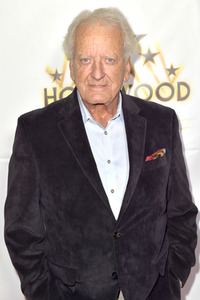 'Hollywood Walk of Fame Honors' Event in Los Angeles
