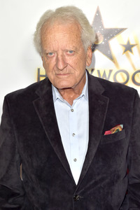 'Hollywood Walk of Fame Honors' Event in Los Angeles