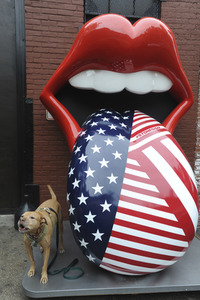 'Exhibitionism - The Rolling Stones' Promotion in New York