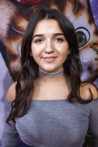 Filmpremiere 'Pettersson und Findus 2 - Das schönste Weihnachten überhaupt' in Köln