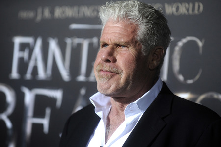Filmpremiere 'Phantastische Tierwesen und wo sie zu finden sind' in New York
