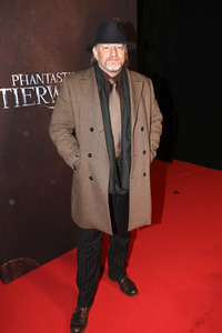 Filmpremiere 'Phantastische Tierwesen und wo sie zu finden sind' in Berlin