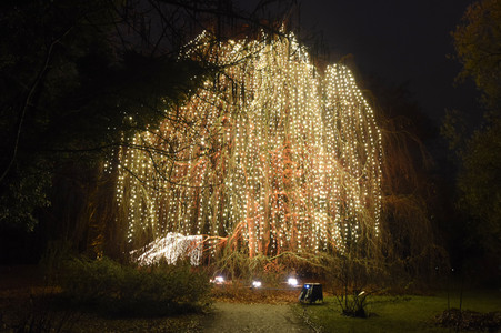 Eröffnung des 'Christmas Garden Berlin' 2016 in Berlin