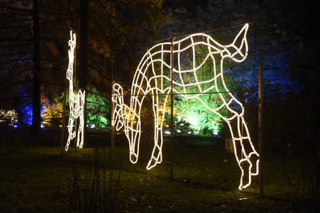Eröffnung des 'Christmas Garden Berlin' 2016 in Berlin