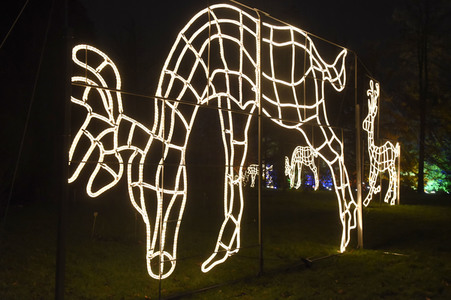 Eröffnung des 'Christmas Garden Berlin' 2016 in Berlin