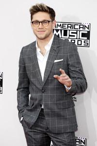 American Music Awards 2016 in Los Angeles