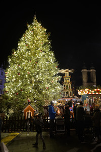 Weihnachtsmarkt in Halle