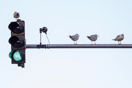 Symbolfoto Verkehrskamera