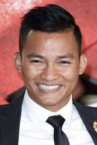 Filmpremiere 'xXx: Return of Xander Cage' in London