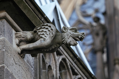 Wasserspeier am Kölner Dom