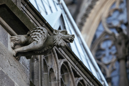 Wasserspeier am Kölner Dom