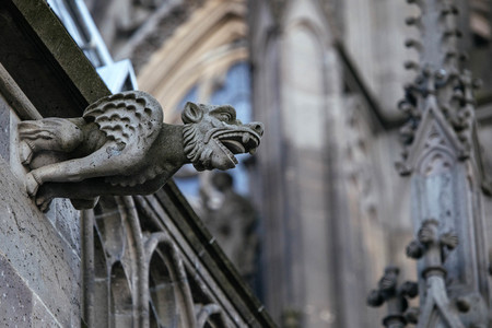 Wasserspeier am Kölner Dom