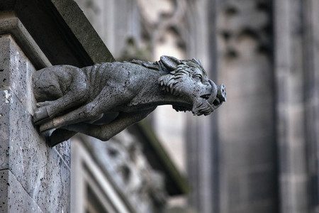 Wasserspeier am Kölner Dom