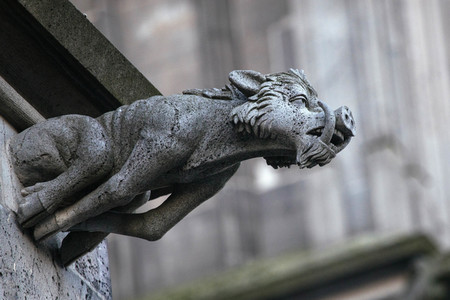 Wasserspeier am Kölner Dom
