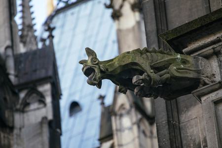 Wasserspeier am Kölner Dom