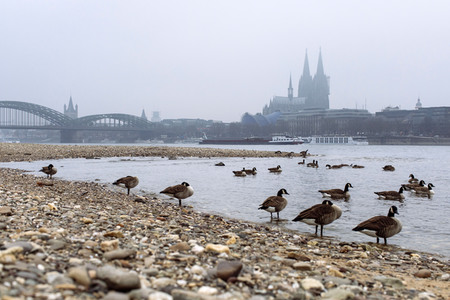Symbolfoto Niedrigwasser