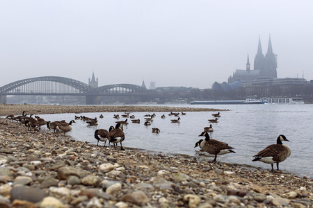 Symbolfoto Niedrigwasser