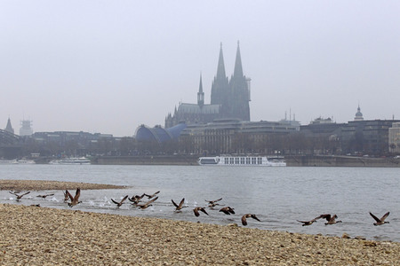 Symbolfoto Niedrigwasser