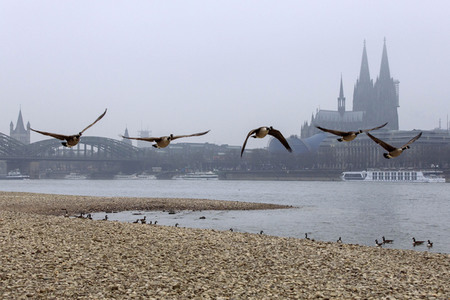 Symbolfoto Niedrigwasser